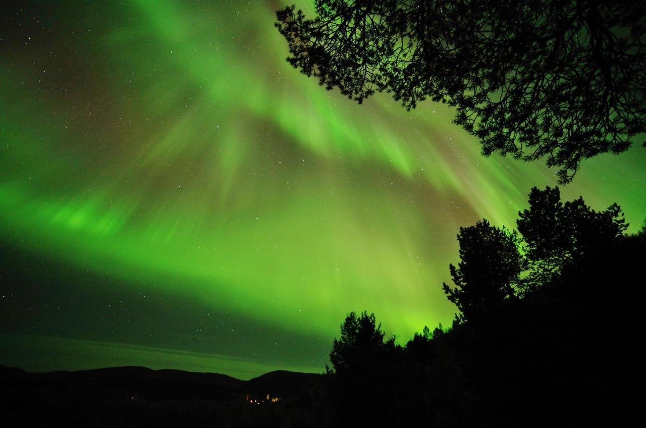 Cottage Lavkavann Finnmarksvidda Skoganvarre Екстер'єр фото