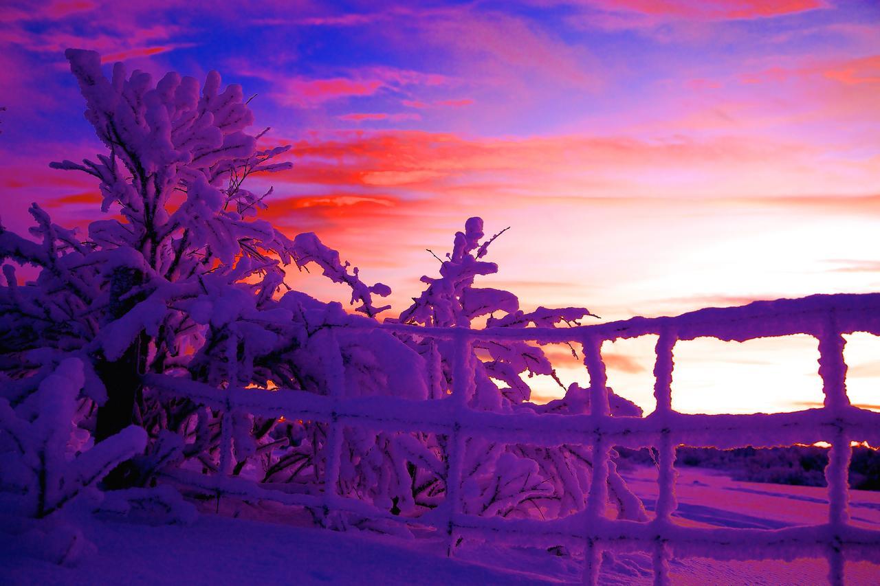 Cottage Lavkavann Finnmarksvidda Skoganvarre Екстер'єр фото